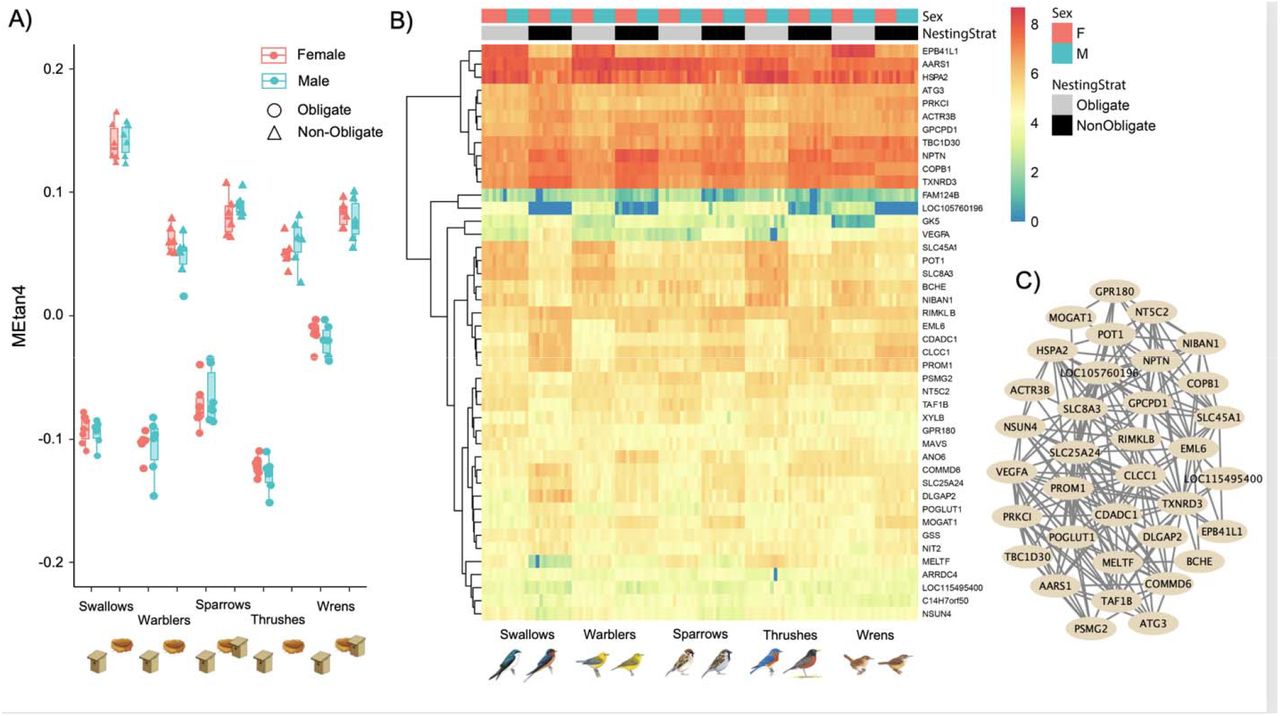 Figure from Lipshutz, Hibbins et al. 2023 (BioRxiv)